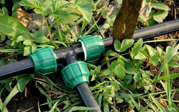 Монтаж труб ПНД для летнего водопровода на даче Монтаж труб ПНД для летнего водопровода на даче