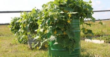 Что такое лутрасил: новое слово в укрывных материалах