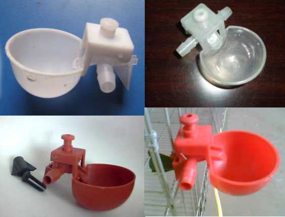 Курятник внутри: что необходимо и как сделать Курятник внутри: что необходимо и как сделать