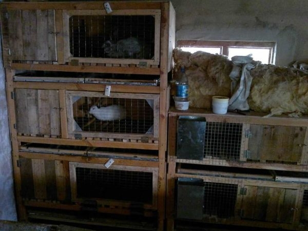 Как сделать крольчатник Как сделать крольчатник