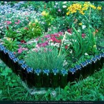 Как сделать клумбу или цветник