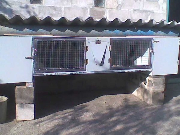 Как сделать крольчатник Как сделать крольчатник