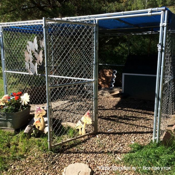 Птичник для уток своими руками — как построить и оборудовать Птичник для уток своими руками — как построить и оборудовать