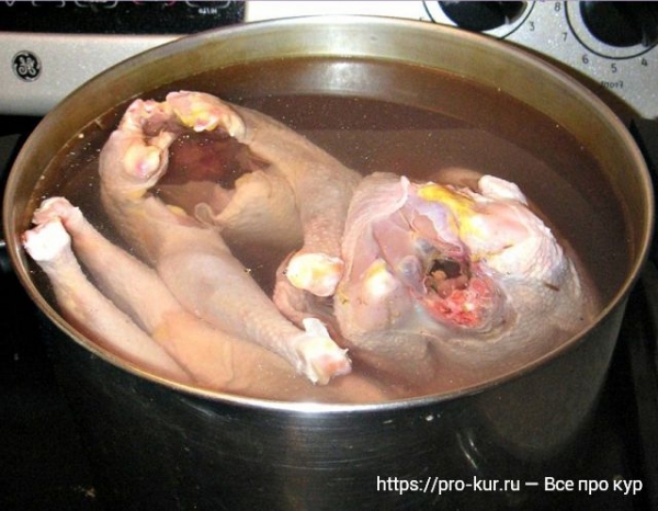 Как приготовить старую курицу, чтобы она была мягкой и сочной?