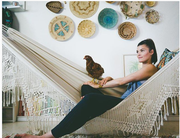 Курица живет в квартире — фото и карьера несушки фотомодели