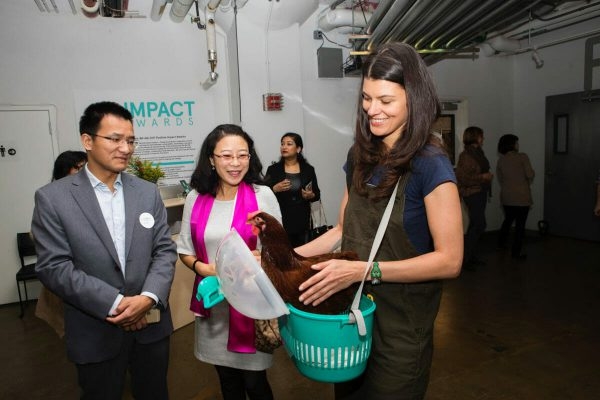 Курица живет в квартире — фото и карьера несушки фотомодели