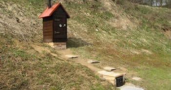 Как и чем кормить карасей в домашнем пруду?