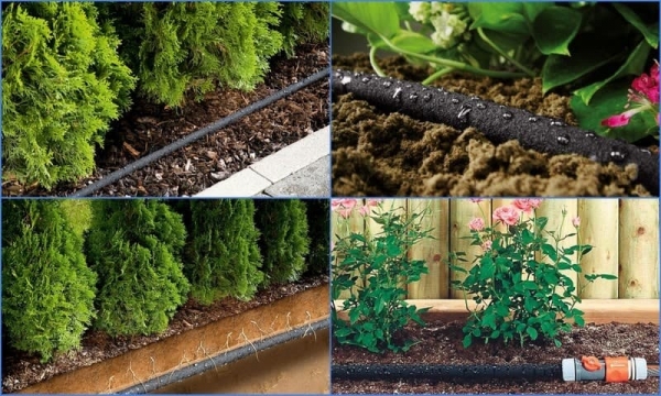 Какой лучше поливочный шланг — сравнение вариантов Какой лучше поливочный шланг — сравнение вариантов