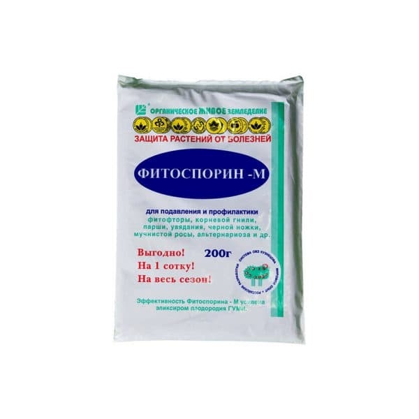 Обработка смородины Фитоспорином: инструкцию по применению Обработка смородины Фитоспорином: инструкцию по применению