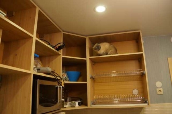 Идеи ремонта маленьких квартир + фотоотчет Идеи ремонта маленьких квартир + фотоотчет