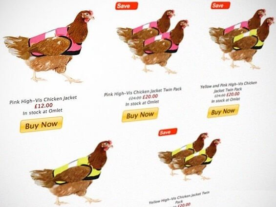 Светоотражающие жилеты для кур в Великобритании
