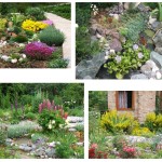 Основы ландшафтного дизайна для самостоятельного проектирования