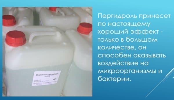 Как произвести очистку воды в бассейне перекисью водорода