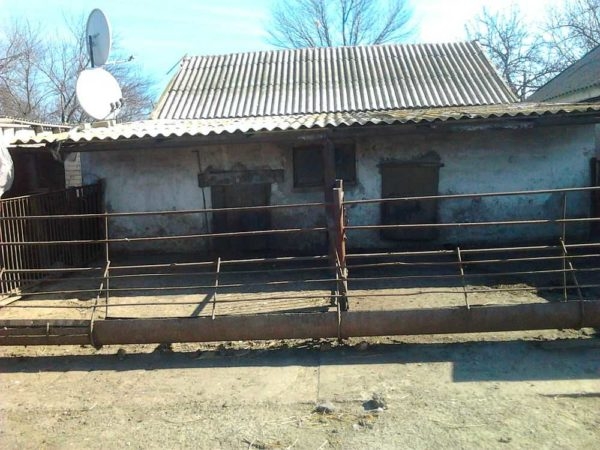 Как построить свинарник самостоятельно Как построить свинарник самостоятельно