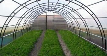 Укрывной материал для теплиц: виды, характеристики