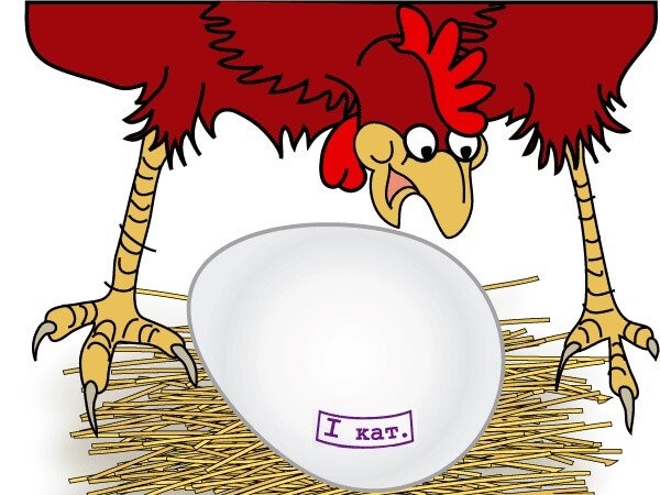 Рекорды куриц и петухов – 6 интересных случаев