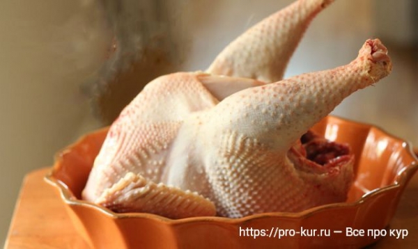 Как приготовить старую курицу, чтобы она была мягкой и сочной?