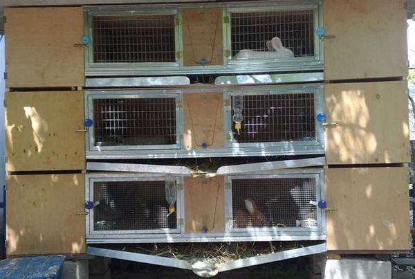 Как сделать крольчатник Как сделать крольчатник