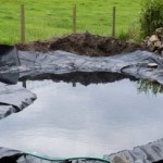 Как сделать пруд на даче, в саду, возле дома Как сделать пруд на даче, в саду, возле дома