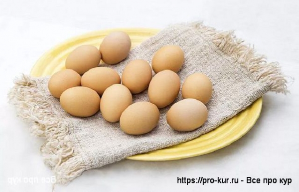 Самые распространенные заблуждения о яйцах