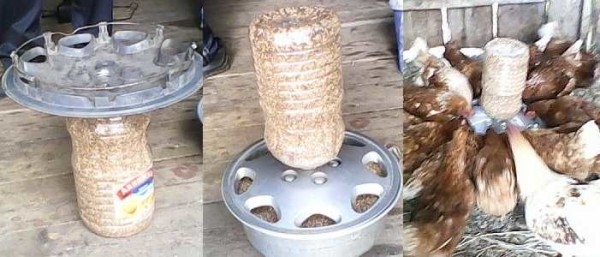 Курятник внутри: что необходимо и как сделать Курятник внутри: что необходимо и как сделать