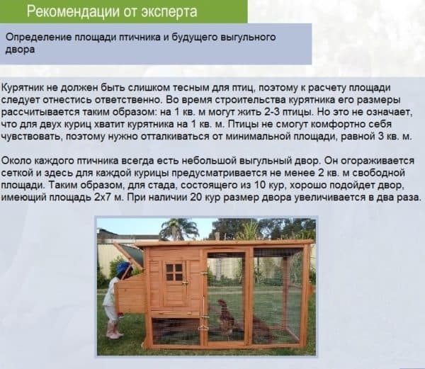Все что нужно знать о том как правильно построить курятник