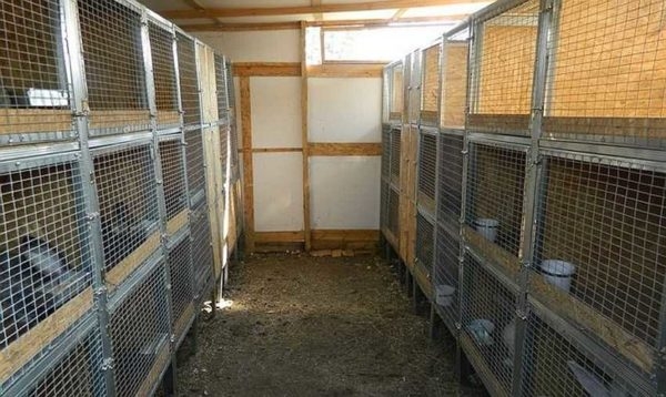 Как сделать крольчатник Как сделать крольчатник