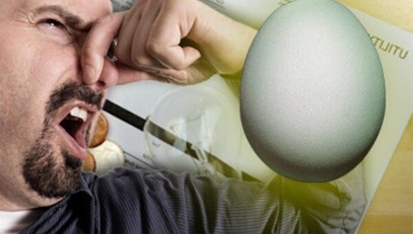 Как проверить яйца на свежесть – способы и видео