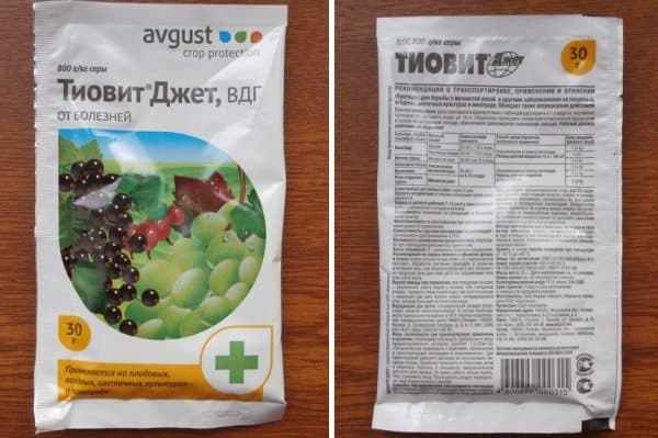 8 химических и 13 народных препаратов от болезней и вредителей для смородины