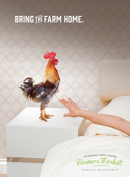 Куры в рекламе и рекламные ролики с участием курицы