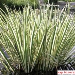 Как сделать пруд на даче, в саду, возле дома Как сделать пруд на даче, в саду, возле дома