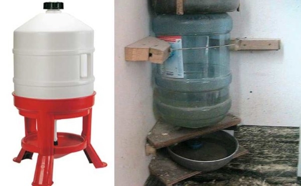 Курятник внутри: что необходимо и как сделать Курятник внутри: что необходимо и как сделать