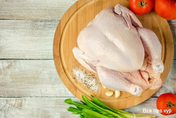 Куриное мясо польза и кому вредна курятина