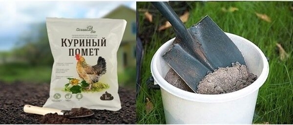 Птичий помет как удобрение и подкормка для растений