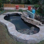 Как сделать пруд на даче, в саду, возле дома Как сделать пруд на даче, в саду, возле дома