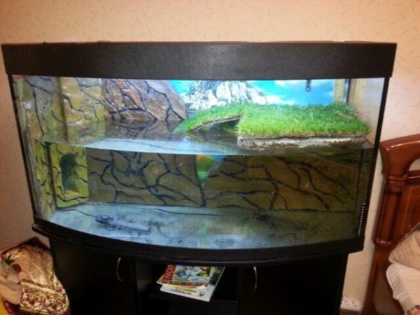 Как наклеить фон на аквариум в домашних условиях