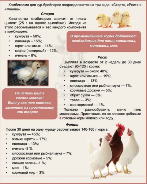 Составы комбикормов для бройлеров Составы комбикормов для бройлеров