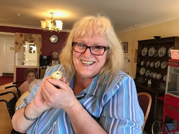 Куры психотерапевты спасут мир от депрессии