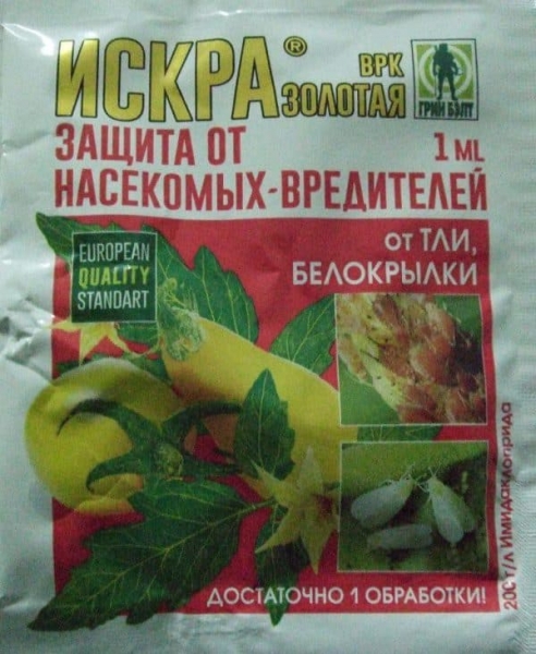 8 химических и 13 народных препаратов от болезней и вредителей для смородины