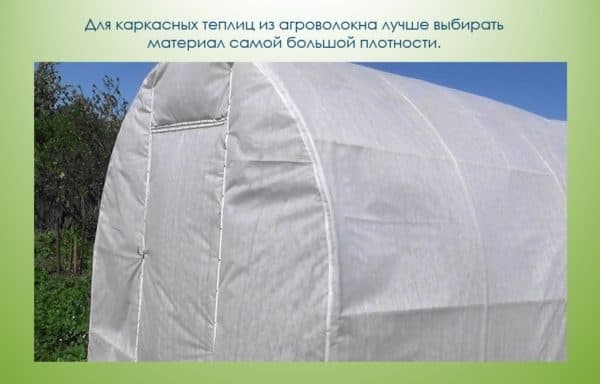 Укрывной материал для теплиц: виды, характеристики