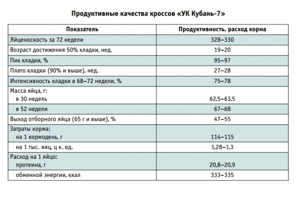 Характеристика Кубанских несушек Характеристика Кубанских несушек