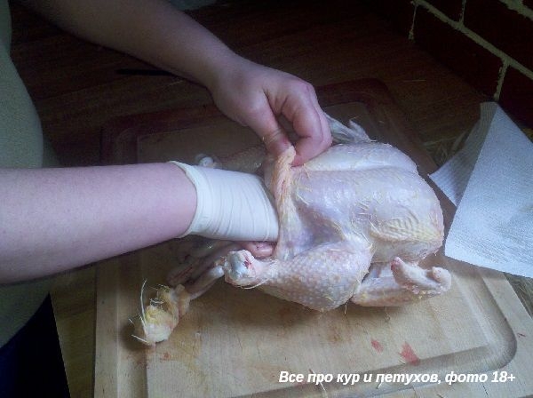 Как ощипать и разделать курицу в домашних условиях