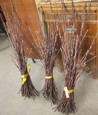 Хранение черенков яблони в домашних условиях до посадки