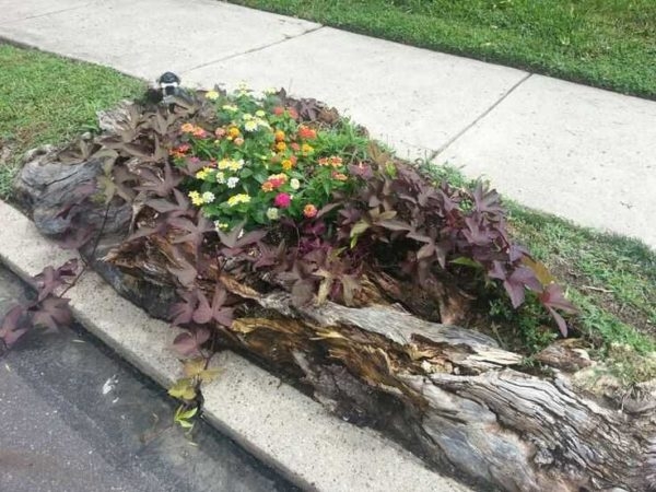 Как сделать уличные вазоны для цветов