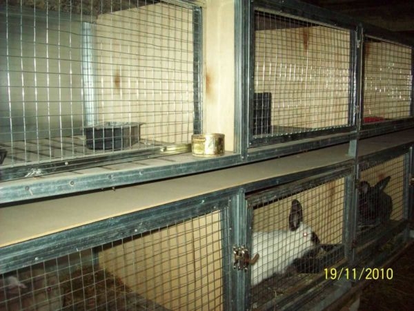 Как сделать крольчатник Как сделать крольчатник