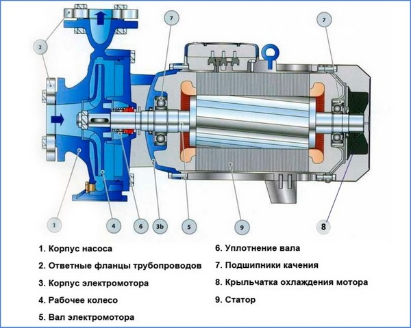 Выбираем и устанавливаем насосную станцию для колодца