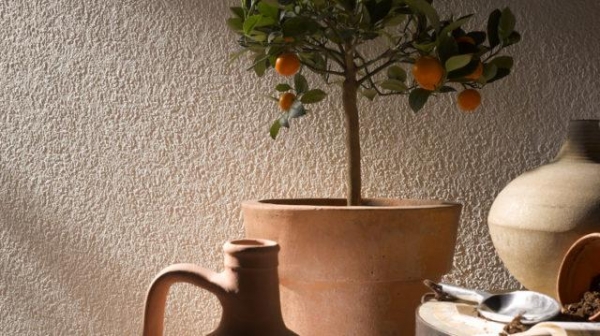 Выбираем обои на кухню Выбираем обои на кухню