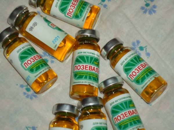 Как правильно давать Лозеваль курам Как правильно давать Лозеваль курам