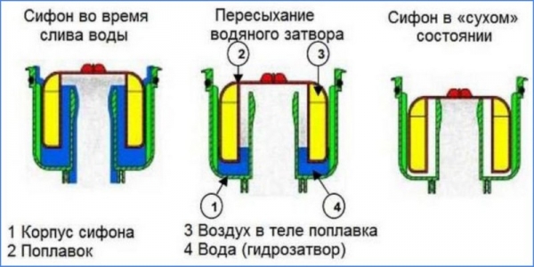 Виды гидрозатворов для канализации, как работают, монтаж