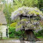 Как сделать уличные вазоны для цветов